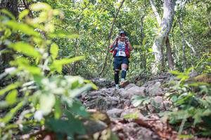 BIB: 
                            <button type="button" onclick="openModal(27701120)" class="btn btn-primary btn-sm float-right btn-popup" data-toggle="modal" data-target=".modal-high-quality">
                        <i class="fas fa-shopping-cart"></i> Add to Cart
                    </button>
                                            <button type="button" onclick="isThisMe(27701120, true)" class="btn btn-success btn-sm float-right btn-popup btn-isme hidden" data-toggle="tooltip" data-placement="bottom" title="นี่คือรูปของคุณใช่ไหม คลิกที่นี่เพื่อเอาเข้าอัลบั้ม">
                        <i class="fas fa-plus"></i> Add to album
                    </button>
                    <button type="button" onclick="isThisMe(27701120, false)" class="btn btn-warning btn-sm float-right btn-popup btn-isnotme hidden">
                        <i class="fas fa-ban"></i> Remove from album
                    </button>